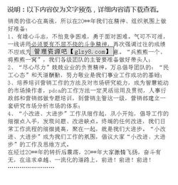 關(guān)于手機銷售工作總結(jié)(關(guān)于手機銷售的工作總結(jié))