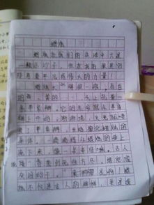 讀書(shū)對(duì)自己的啟示的作文開(kāi)頭結(jié)尾