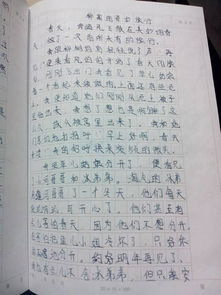 美麗的大自然六級(jí)作文開(kāi)頭