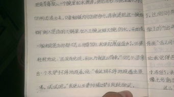 童趣事買鹽作文開頭