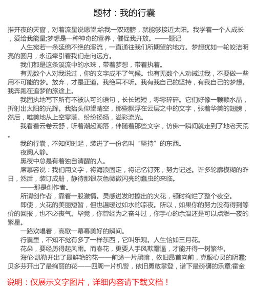 我的行囊作文開頭結尾