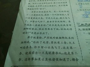 傷害或保護(hù)鳥作文開頭