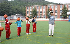 動物籃球賽作文開頭