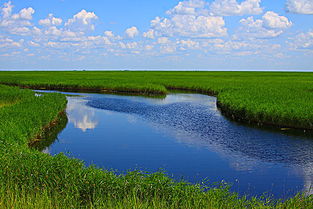 寫扎龍自然保護(hù)區(qū)作文開頭