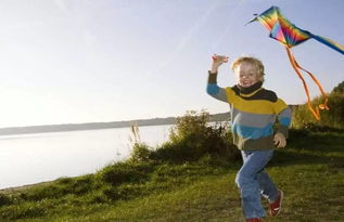 三級(jí)放風(fēng)箏作文開頭