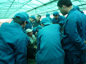 ?？齐姎夂笇?shí)習(xí)報(bào)告(專科實(shí)習(xí)報(bào)告)