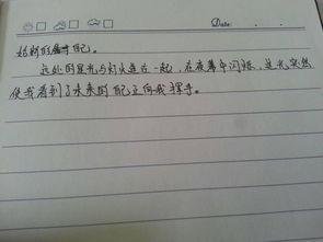 校園生活酸甜苦辣中一個(gè)作文開(kāi)頭