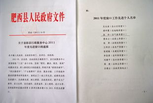 行政服務(wù)窗口工作總結(jié)(服務(wù)窗口收費員工作總結(jié))