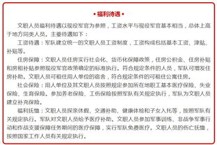 公司文職人員個人總結(jié)(公司文職人員試用期滿個人總結(jié))