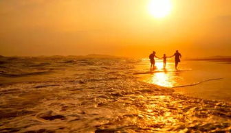 為幸福讓路作文開頭