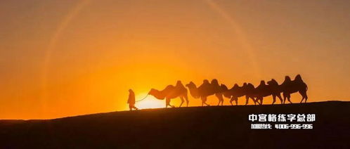 開頭環(huán)境描寫作文摘抄