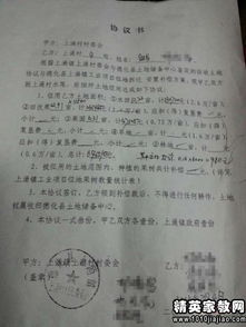 工業(yè)用地轉(zhuǎn)讓的合同(工業(yè)用地轉(zhuǎn)讓的合同（精選）)