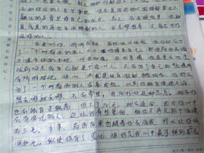 初中寫人感情感動的作文開頭