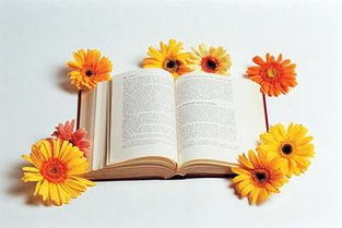 中考作文設(shè)置懸念開頭