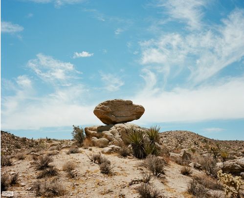 去沙漠玩(去公園玩作文100字 去公園玩)