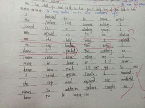 作文,開頭,親愛,老師