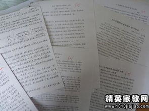 新疆總目標(biāo)的心得體會(聚焦總目標(biāo)的心得體會)