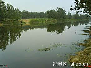 釣魚的開頭作文600字