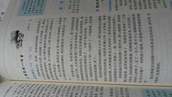 發(fā)現(xiàn)生活中的道理五級(jí)作文開頭