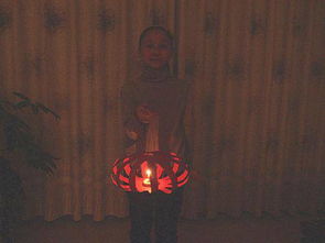 做花燈作文開頭