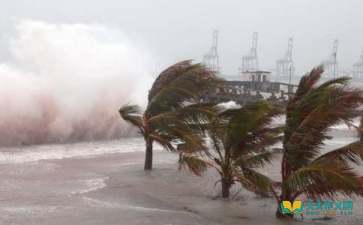 臺(tái)風(fēng)作文三百字(有關(guān)臺(tái)風(fēng)的作文三百字)