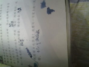 你家鄉(xiāng)的美作文600字作文開頭和結(jié)尾