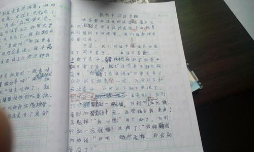書給我的幫助作文600字作文開頭
