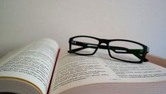 陽光你好作文開頭