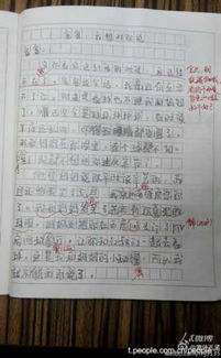關(guān)于給父親做飯的作文600字作文開頭