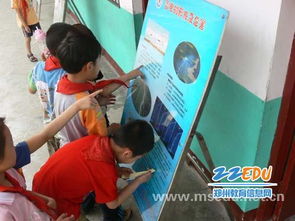 關(guān)于防雷的科普知識(shí)(關(guān)于蟬的科普知識(shí))