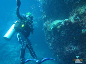 海底撈針(海底撈針)