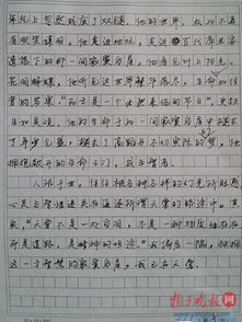 什么作文開頭是最好的