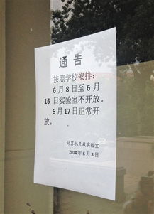 有關(guān)嘗試的作文開頭高中