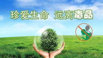 珍愛生命(珍愛生命)