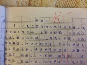 介紹成都特產(chǎn)作文開頭