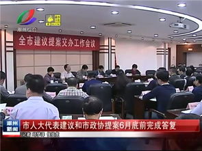 市人大代表建議(市人大代表視察方案)