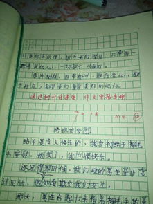 四級(jí)作文精彩開頭結(jié)尾練筆