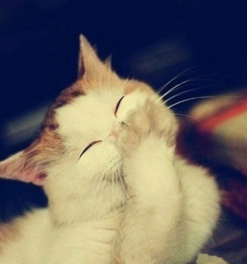 一笑,作文,開(kāi)頭