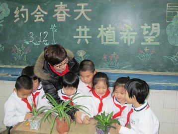 小學(xué)生環(huán)境教育主題班會(環(huán)境教育主題班會)