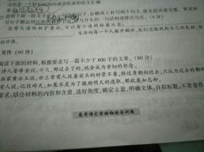 擁抱當下作文開頭