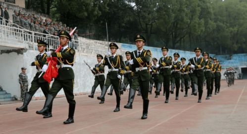 軍訓(xùn)匯報表演新聞稿(軍訓(xùn)匯報表演)