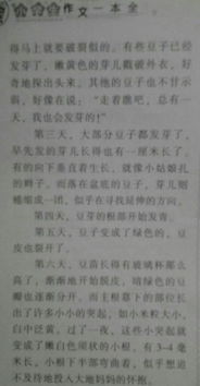 寫水果的作文怎么開頭