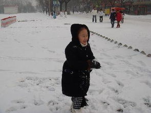 下雪啦作文開頭