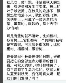 作文,描寫,開(kāi)頭