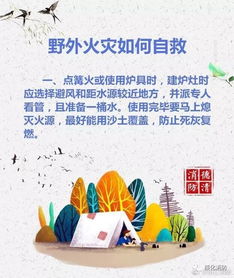 野外火災(zāi)如何自救(野外火災(zāi)如何自救常識(shí))