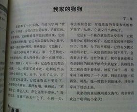 小狗作文開頭怎么寫,描寫小狗的作文開頭,我的小狗作文開頭