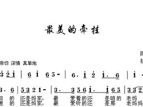 最美的牽掛作文開頭結尾