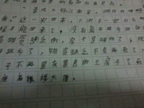 帶她回家作文開頭