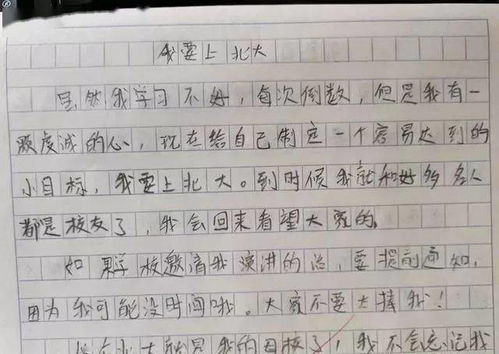 北京游記小學(xué)生作文開頭