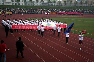 關于運動會的報道稿(關于運動會的報道稿)